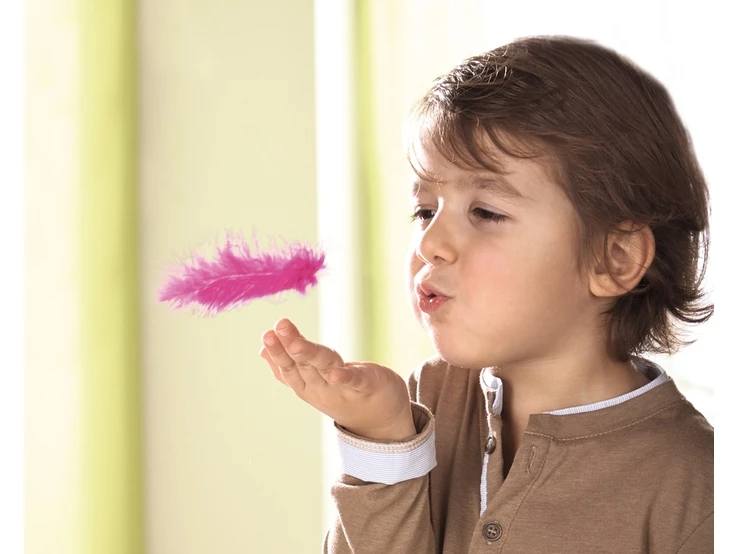 Vliegende Veren 4 Vliegende Veren - Afbeelding 4