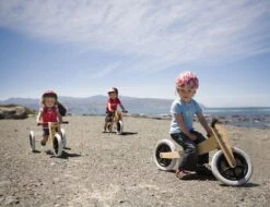 Wishbonebike 3-in-1 Loopfiets -Kinder Speelgoeds Winkel loopfiets wishbone bike 4