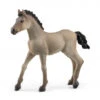 Schleich 13949 Criollo Definitivo Veulen HorseClub