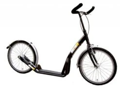Step Bike2Go